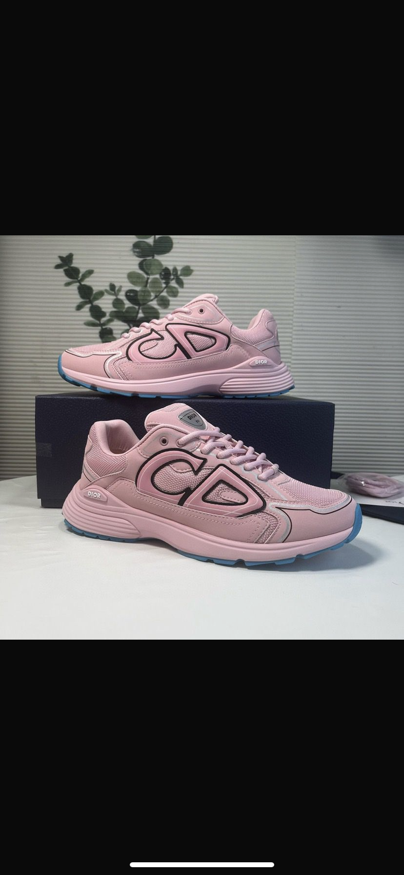 Dior b30 women