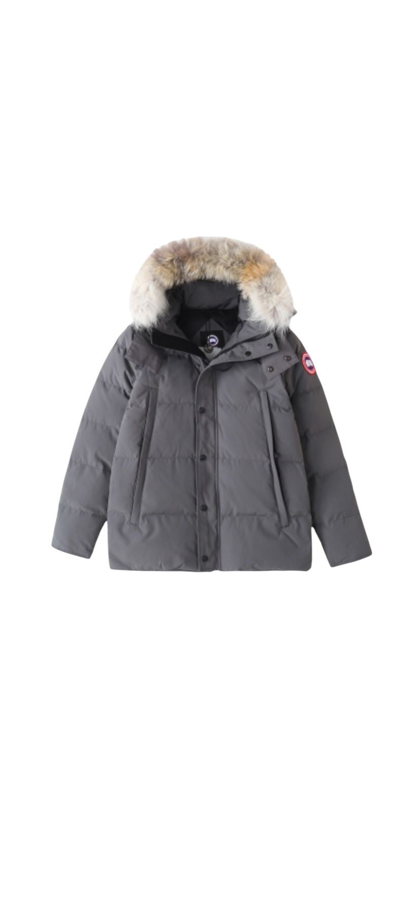 Canada goose WYNDHAM