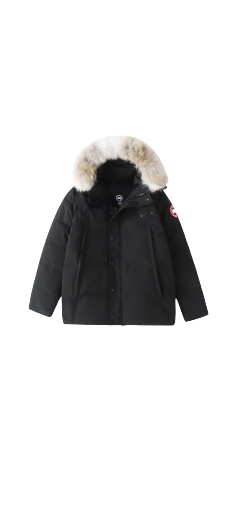 Canada goose WYNDHAM