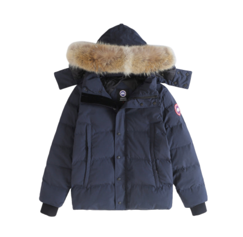 Canada goose WYNDHAM