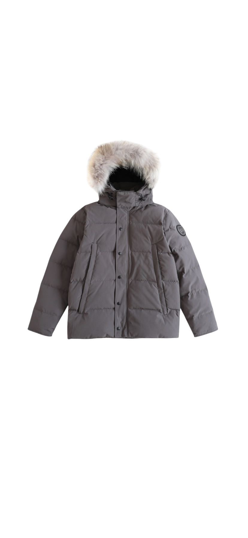 Canada goose WYNDHAM