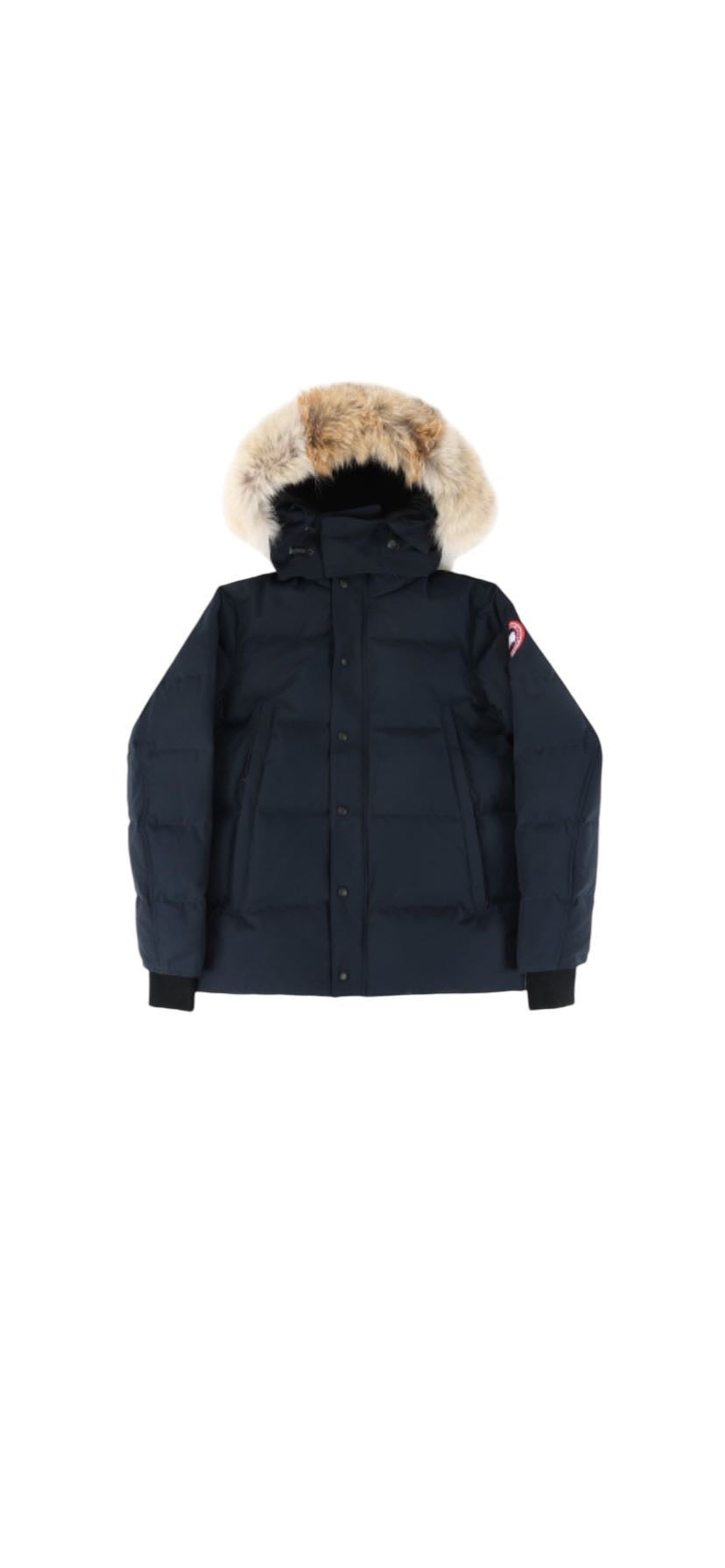 Canada goose WYNDHAM