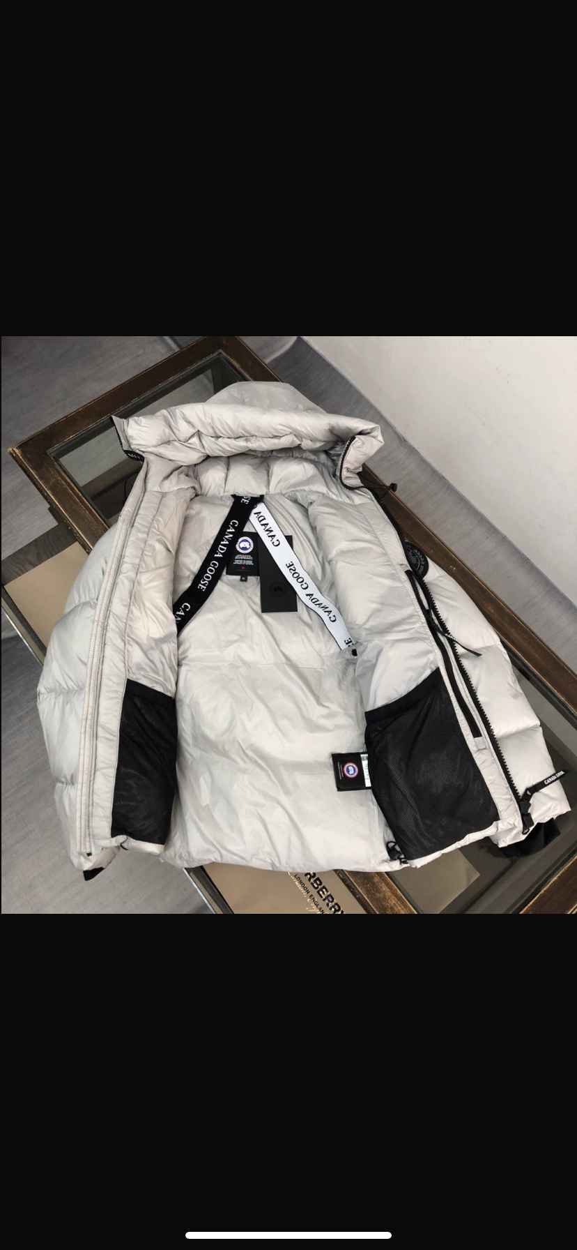 Canada goose Crofton puffer