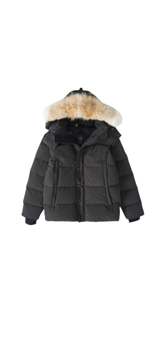 Canada goose WYNDHAM