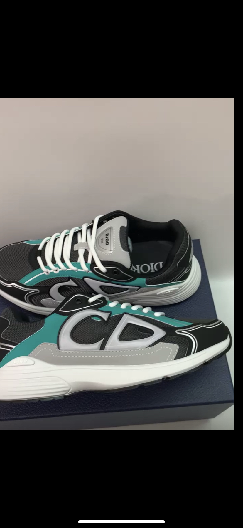 Dior b30