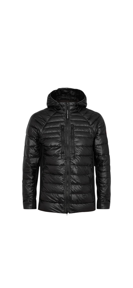 Canada goose hybridge