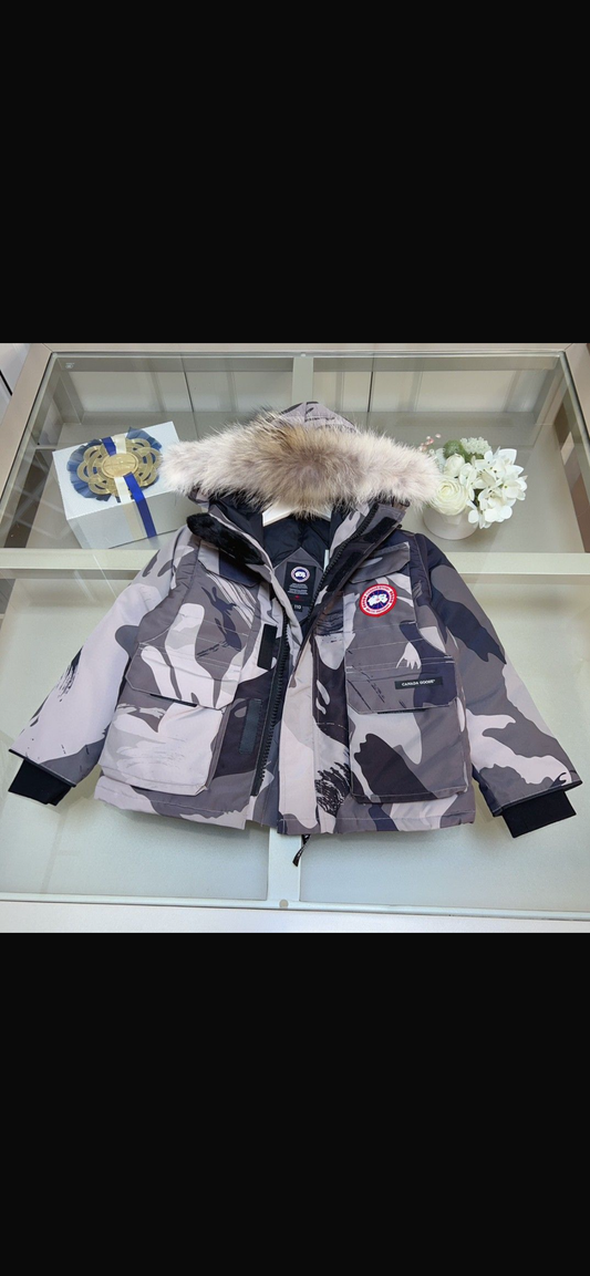 Canada goose kids