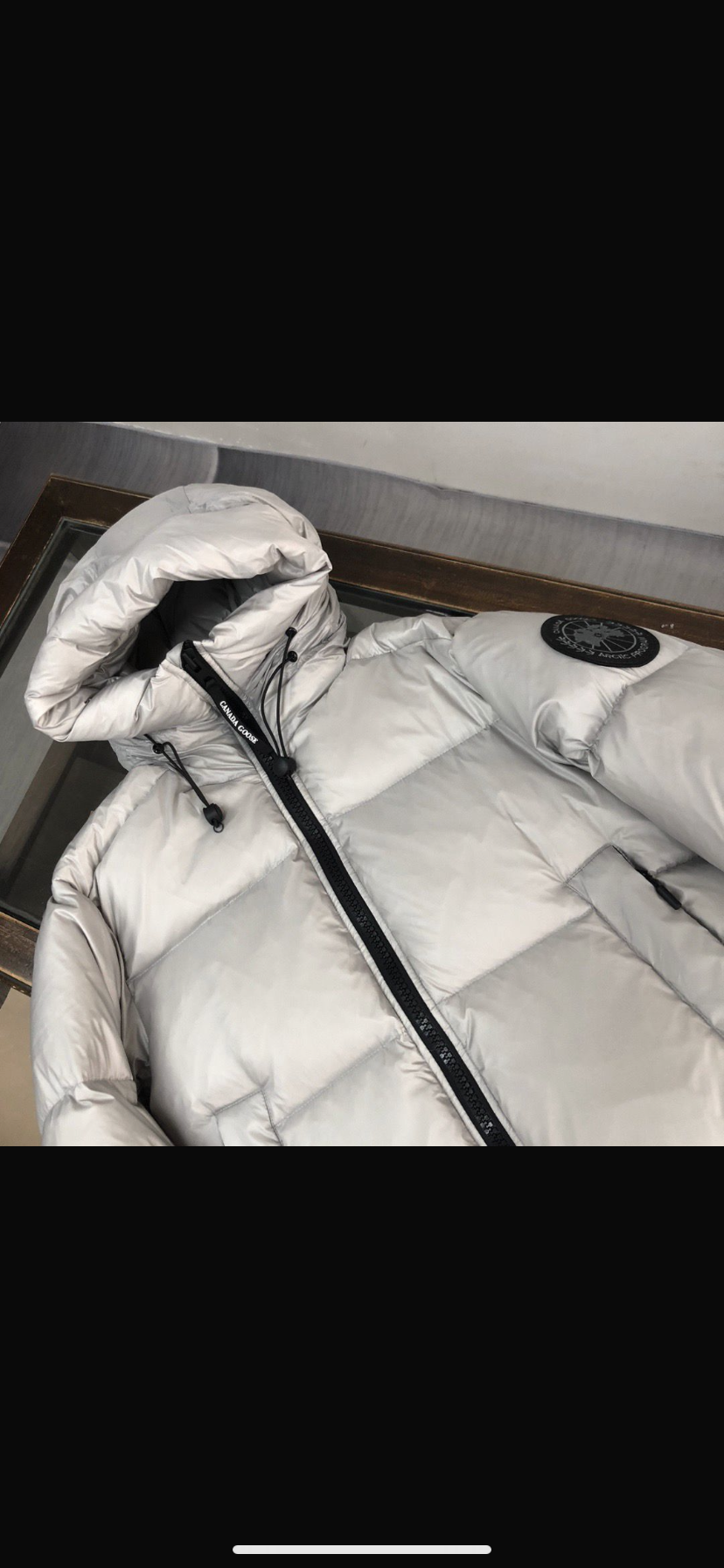 Canada goose Crofton puffer